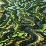 Bellville Golf Club: The Premier Destination for Golf Enthusiasts