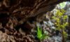 Belizean Caves: Uncovering Archaeology, Climate, and Life