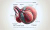 Testicular Cancer Detection: Essential Self-Exam Tips