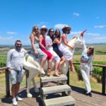 Discover Yarra Valley Wineries to Explore in 2025