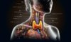 Thyroid Blood Test Service in Aylesbury: Fast and Dependable