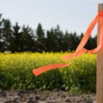 Subdivision Surveys: Essential Insights for Clyde North