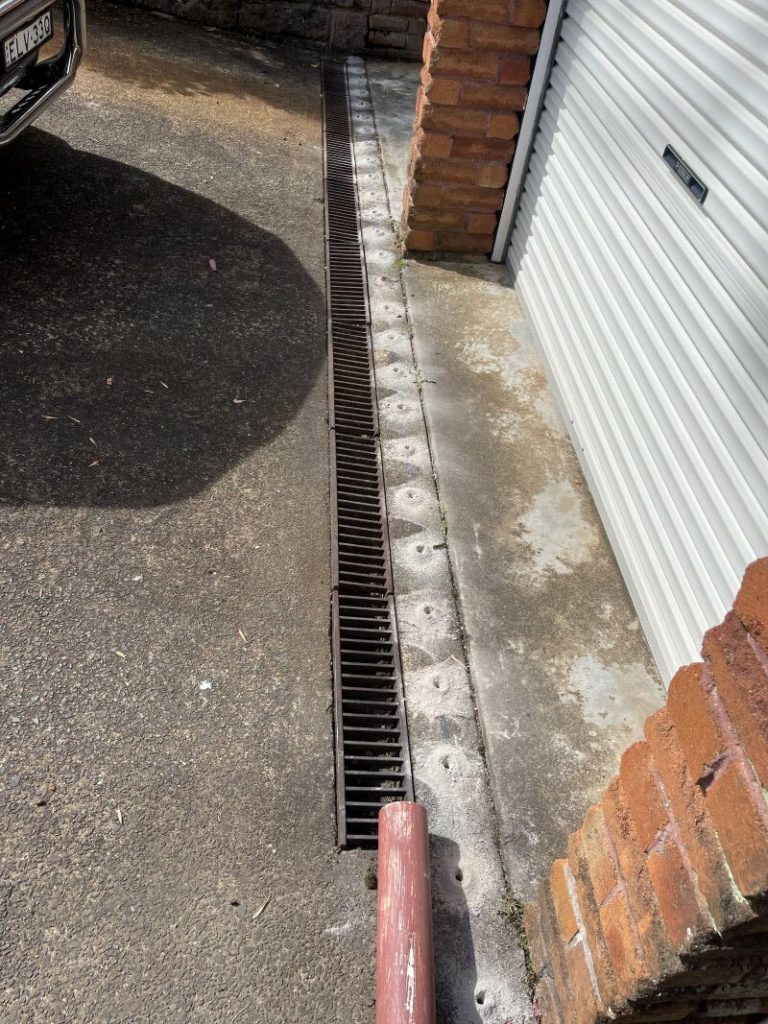 Termite Protection Strategies for Your Home Coverage