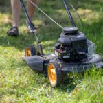 Grass Cutting Services: Options and Tips for Montacute