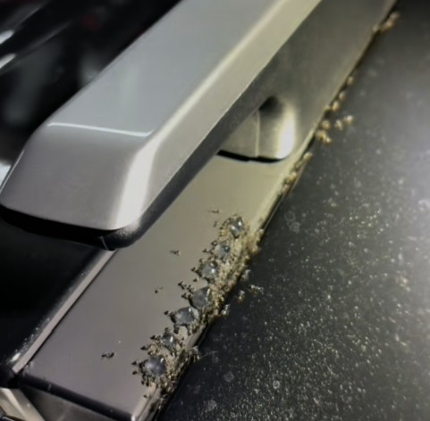 Ant Infestation: Effective Pest Control for Your Schofields Car