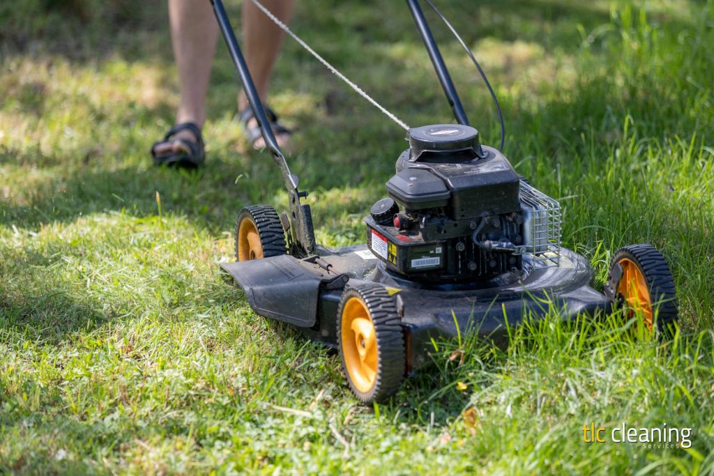 Grass Cutting Services in Ilchester: Top Tips and Expert Choices