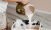 Exterior Paint Jobs: Budget-Friendly Tips for Sydney’s Humidity