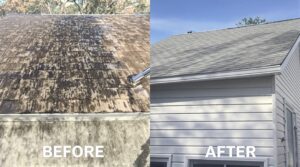 Understand the Essential Role of Soft Washing in Maintaining Your Home