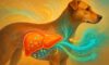 Liver Health Monitoring for Optimal Dog Care Tips