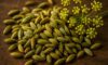 Fennel Seed Recipes for Italian and Indian Dishes