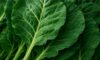 Collard Greens: A Nutritious Recipe for Slow Cooking Dinner