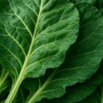 Collard Greens Recipe: A Wholesome Slow-Cooked Delight