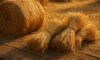 Hay and Straw: Creative Cooking Ideas to Try