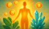 Clean Energy Supplements: Optimal Selections for Enhanced Vitality